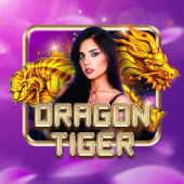 Dragon Tiger live casino on 789 bingo app apk
